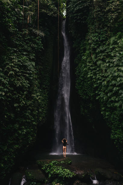 istock young woman backpacker looking at the waterfall in jungles. 1264915283