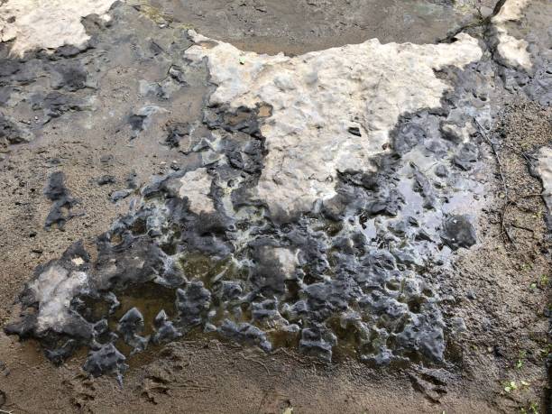istock Rough and wet rock floor 1264916977