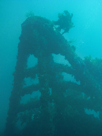 The wreck of the Rainbow Warrior, Bay of Islands, New Zealand