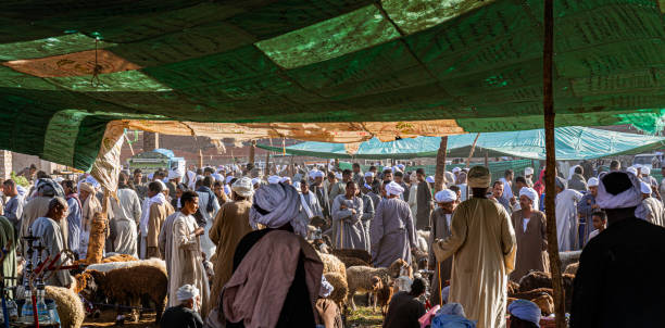 Crowded Daraw Camel And Animal Market