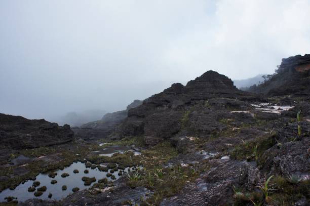 istock Rocky landscape on summit of mount Roraima during a rainy day 1264922158