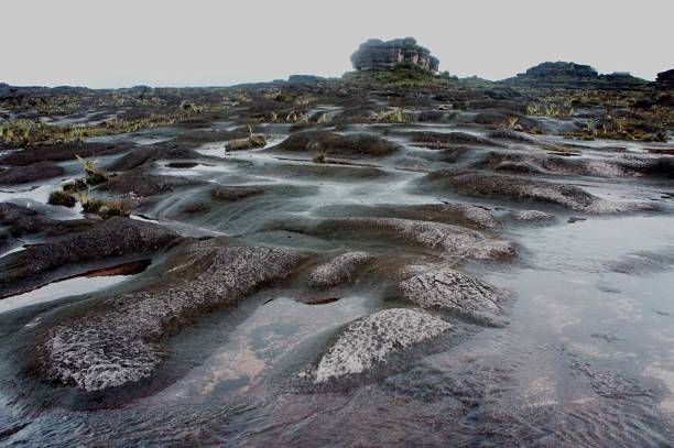 Amazing rocky formation and tropical vegetation seen on top of Roraima tepuy during a rainy and foggy day. Canaima National Park, Venezuela