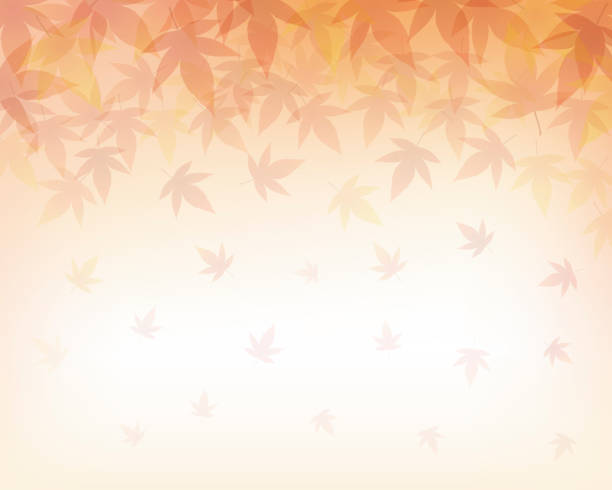 illustrations, cliparts, dessins animés et icônes de matériau de fond de gradient avec des feuilles d’automne d’érable - japanese maple leaf autumn abstract