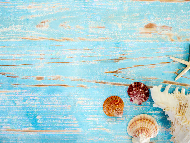 istock Travel and vacation summer background. 1264931723