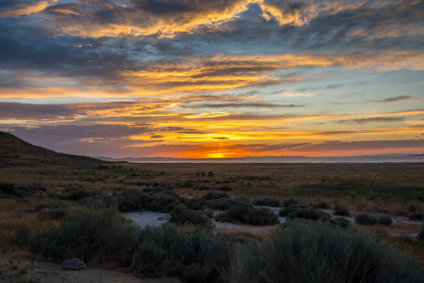 istock Dramatic vibrant sunset scenery in Antelope Island State Park, Utah 1264933574