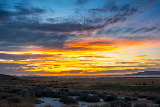 istock Dramatic vibrant sunset scenery in Antelope Island State Park, Utah 1264933581