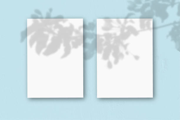 istock 2 vertical sheets of textured white paper on soft blue table background. Mockup overlay with the plant shadows. Natural light casts shadows from an exotic plant. Horizontal orientation 1264936968