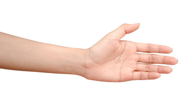 istock Hand reach and ready to help or receive. Gesture isolated on white background with clipping path. 1264943003