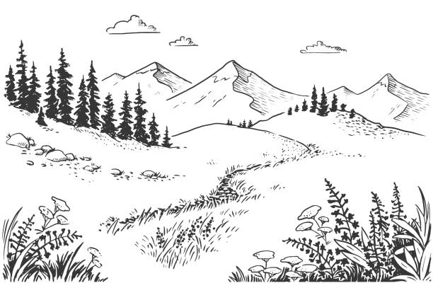 vektor-illustration der natur. landschaft mit bergen, wiesen und wäldern. illustration von tourismus und erholung in freier wildbahn. handgezeichnete skizze, schwarz-weiß-grafiken - alp village meadow field stock-grafiken, -clipart, -cartoons und -symbole