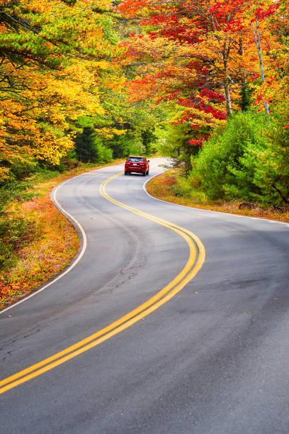 извилистая дорога через осеннюю листву в новой англии - autumn landscape usa country road стоковые фото и изображения