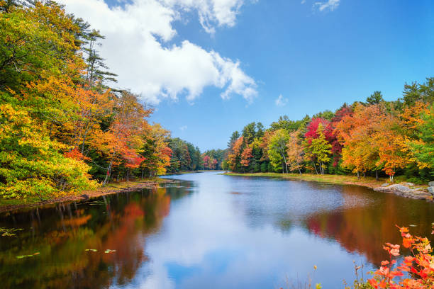 A pond surrounded by fall foliage colors on a beautiful autumn day in New England stock photo