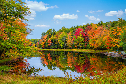 This is a photograph taken on a mobile phone outdoors of trees with autumn colored leaves reflecting in a pond during October in the Hudson Valley area of Upstate New York.