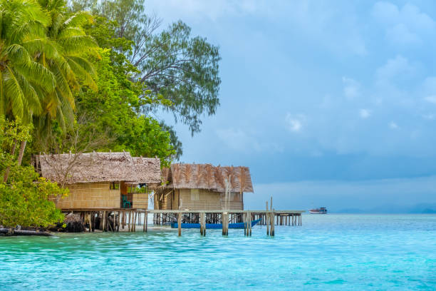 istock Huts on the Water Near a Tropical Island 1264955128