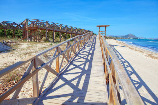 istock Pedestrian Bridge to Playa de Muro Beach 1264957317