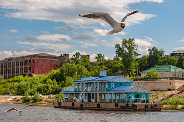 estação fluvial ao longo do rio oka, gaivota, ryazan, rússia - oka river - fotografias e filmes do acervo