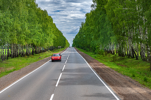 Russian road through the green birch forest towards ,Nizhny Novgorod,Russia ,Nikon D3x