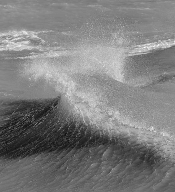 istock Amzing image of individual wave breaking and cresting during violent windy storm in black and white with superb detail 1264967843
