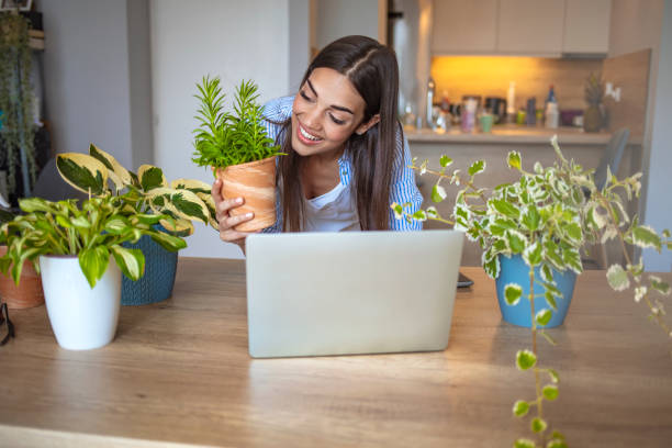 istock Beautiful young woman caring for her plants. 1264968883
