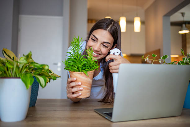 istock Gardening is more than hobby 1264968958