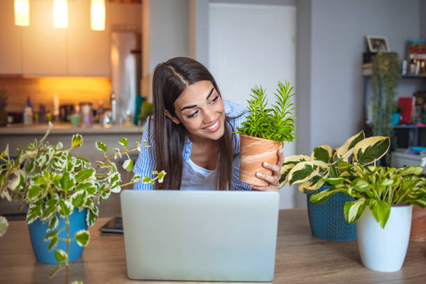 istock Beautiful young woman caring for her plants. 1264969197