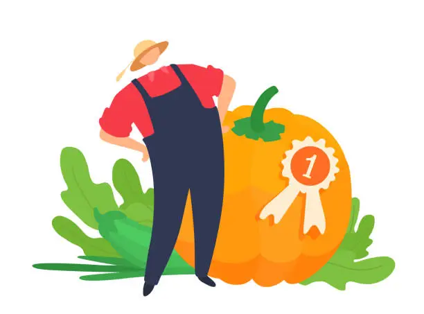 Vector illustration of Giant vegetables championship winner. Champion of the tournament stands near the best big pumpkin. First place medal. A proud gardener.