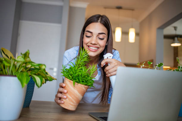 istock Planting home plants indoors 1264969771
