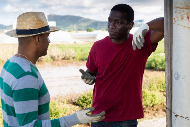 istock Afro and latino males talking on farm 1264969885