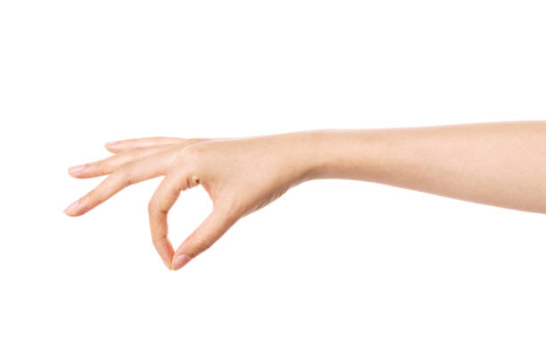 istock Woman hand gesture picking up isolated on white. 1264969951