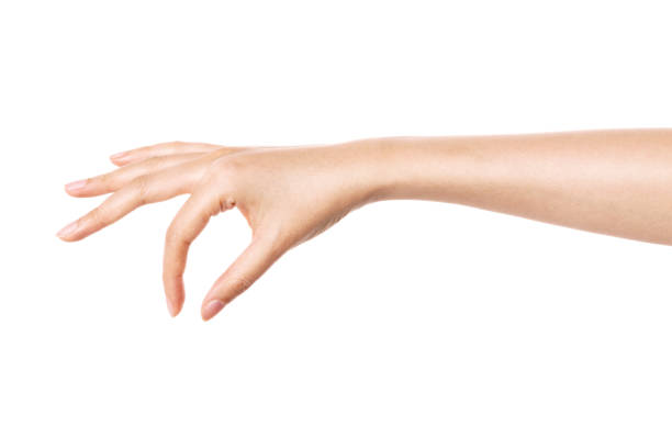 istock Woman hand gesture picking up isolated on white. 1264969994