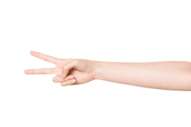 istock Woman hand gesture victory horizontal isolated on white. 1264970008