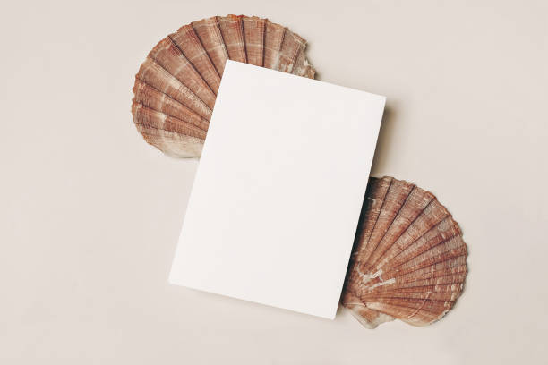 istock Modern summer stationery still life. Blank vertical greeting card, invitation mock up scene with pink oyster sea shells. Beige table background. Flat lay, top view. Vacation, ocean concept. 1264970135