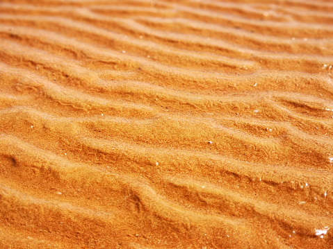 Golden wet sand, formed as a result of low tide, lies in waves. Abstract background.