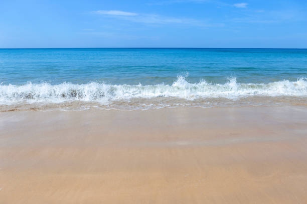istock Peaceful clean and empty beach in South of Thailand 1264973233