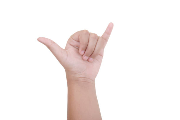 istock The gesture of hand 1264974131