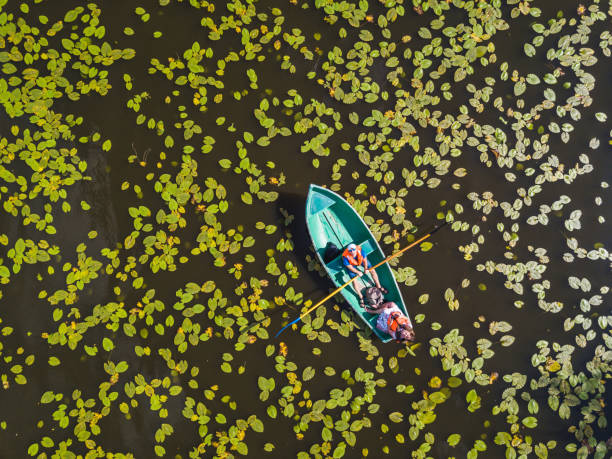 istock A couple swims on a boat. View from above 1264974212