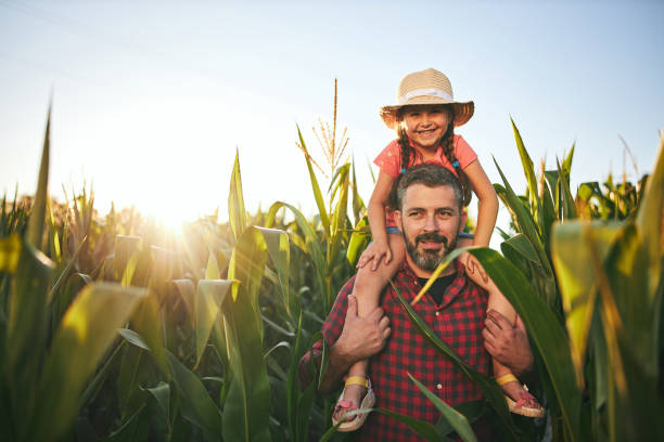 istock Farmer carrying on shoulders his curious daughter while enjoying day in nature 1264976447