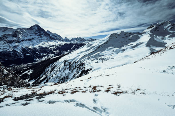 White Ski Slopes Of Grindelwald First, Switzerland