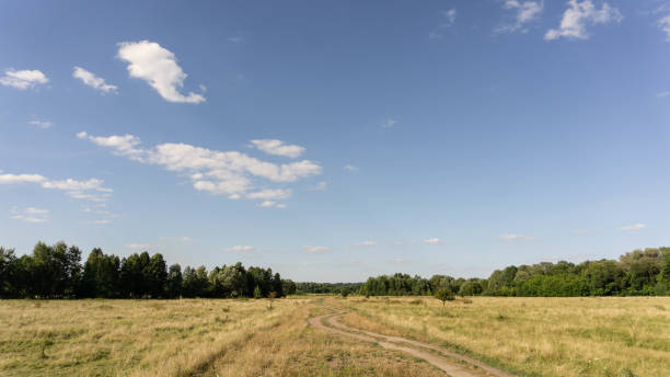 istock scenic path in the wild, smmer day 1264981470