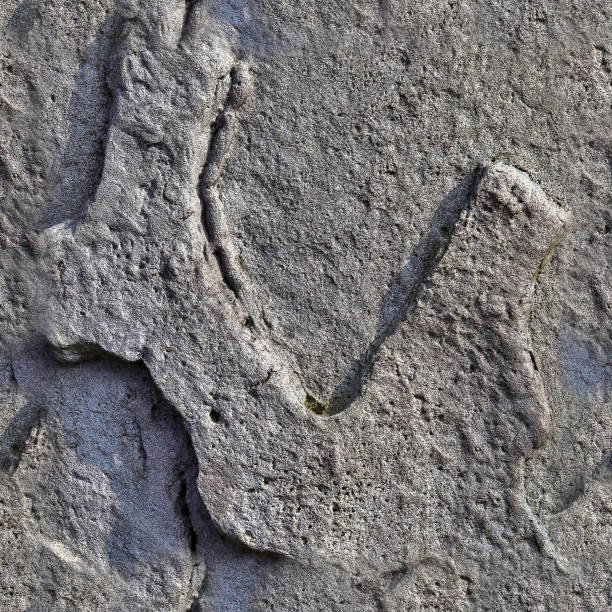 istock Photo realistic seamless texture of a tileable concrete wall surfaces with high details 1264983339