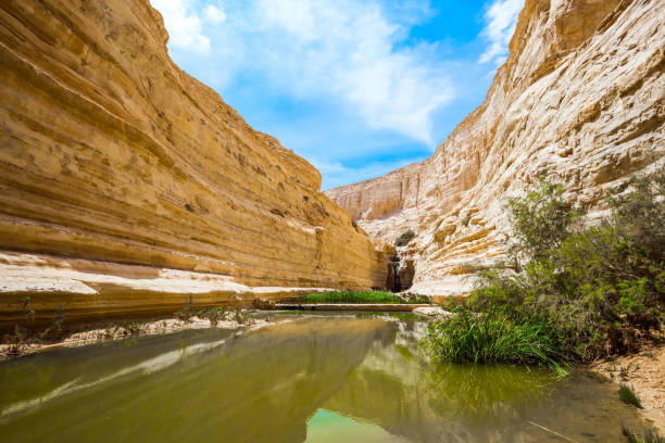 istock Picturesque waterfall in the Negev 1264984763