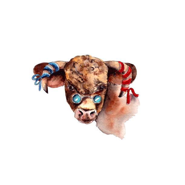 Watercolor illustration.Year Of The Bull 2021.Cute unusual steers. Illustration for the New year and Christmas. The bull is the symbol of the year 2021.isolated on a white background Watercolor illustration.Year Of The Bull 2021.Cute unusual steers. Illustration for the New year and Christmas. The bull is the symbol of the year 2021.isolated on a white background. herd of cows stock illustrations