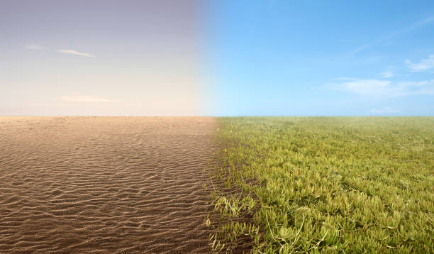 istock The difference from drought ground and fertile soil on the field 1264989912