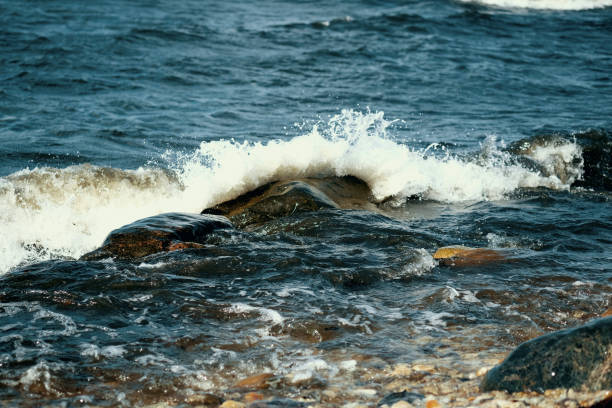 istock Storm on Baltic Sea with strong wind 1264993508