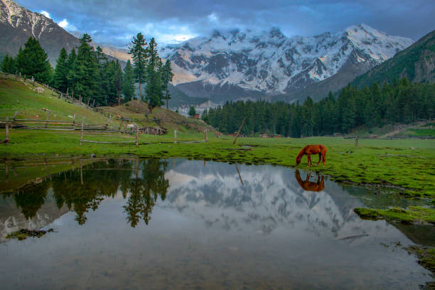 istock mountains and peaks in Pakistan 1264996316