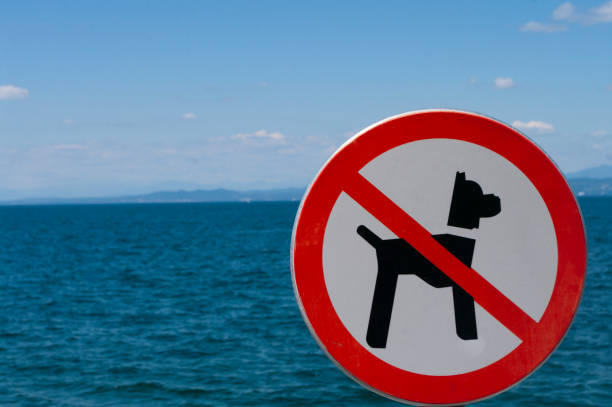 istock Red and White Forbidden Dog Sign on the beach. 1264996687