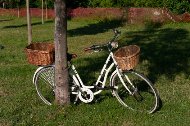 istock a white bicycle with basket near tree in parked in park. 1264997319
