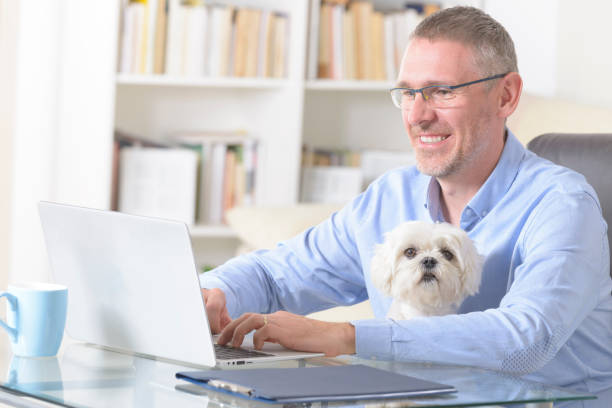 istock Working with dog at home 1264998119