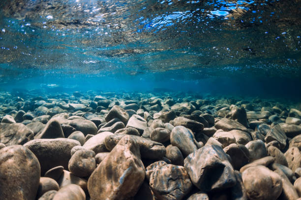 istock Underwater view with stones and blue transparent sea water. 1264998140