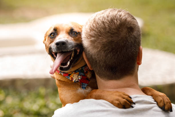 perro feliz abrazando a un hombre en el hotel de perros - mixed breed dog fotografías e imágenes de stock