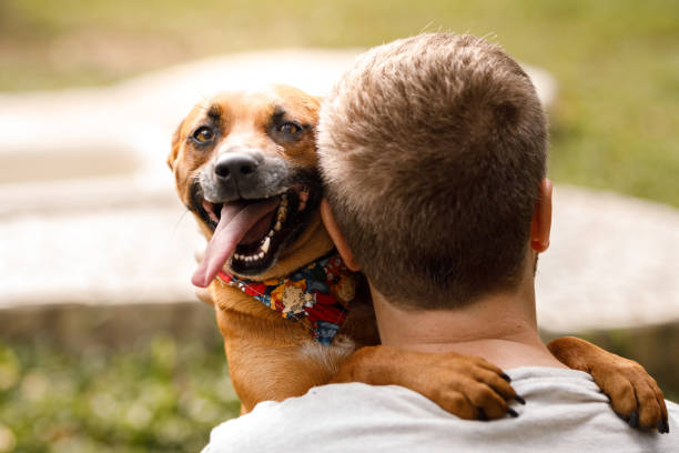 犬のホテルで男を抱きしめる幸せな犬 - ペットの里親 ストックフォトと画像